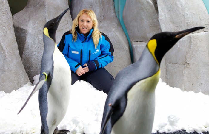 SkiDubai-penguin-encounter