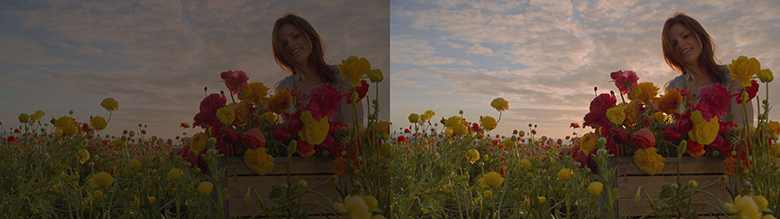 Flowerfield Standard left - New Dolby Imaging Tech right