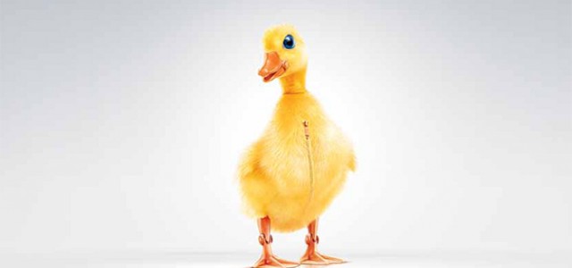 Gold-winning-campaign-Fool-You-Twice-BMW_Duck